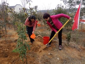 �������Ź�ί��֯��չֲ���