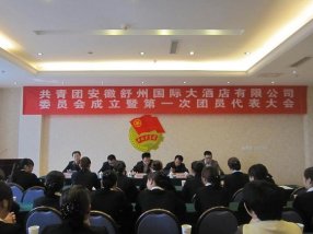 �������ݹ��ʴ�Ƶ����޹�˾������ί�������