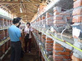 Ǳɽũ�����괴ҵС�����Ϊ��ѧ����ҵѩ����̿